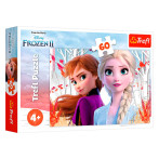 Frost The Enchanted World of Anna and Elsa Puzzle (60 stykker) 4 år+