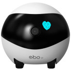 EnaBot EBO-SE AI Funny Cat Robot m/kamera (1080p)