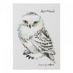 Pagna Save Me No.2 Friends book (60 sider) Owl