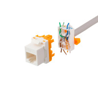 Keystone Connector Cat6a m/sving avslutning (UTP) Verktøyfri