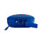 Blaupunkt BLP 3120 Bluetooth/FM Høyttaler (3W) Blå