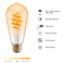 Hombli Smart Pære LED Filament ST64/E27 (5,5W)