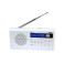 Xoro DAB 100 DAB+/FM radio m/alarm (1W)