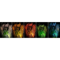 LightsOn Medusa hagespot med fargefilter 8W (560lm)