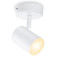 WiZ Imageo LED Spotlight - 1-punkts (Varm/kjølig hvit) Hvit
