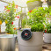 Gardena AquaBloom solcelledrevet vanningssett (20 planter)