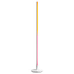 WiZ Pole LED gulvlampe m/bak. fot (1080lm) RGB