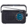Blaupunkt PR9BK FM Analog Radio m/antenne (batteri)