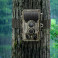 Sjcam M50 Viltkamera (55/60 grader) Woodland Green