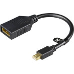 Mini DisplayPort til DisplayPort Adapter (Svart)