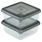 Plast1 Arctic Box Set - 1,25 liter (2pk)